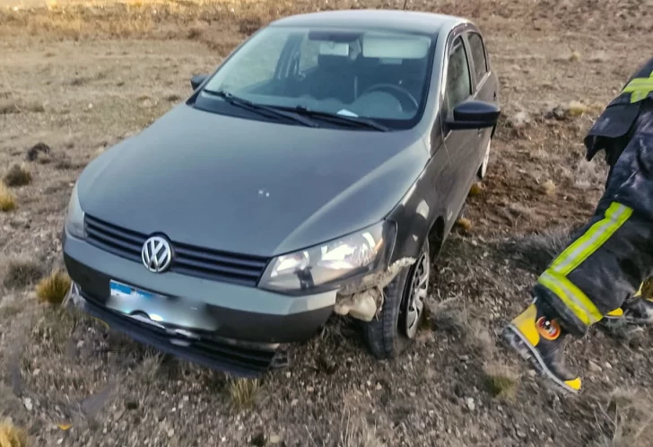 Manejaba en ruta, se le cruzó un guanaco y lo embistió: terminó en la banquina