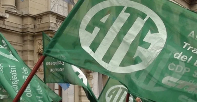 Paro nacional de ATE por los vetos de Milei a leyes de salud y educación