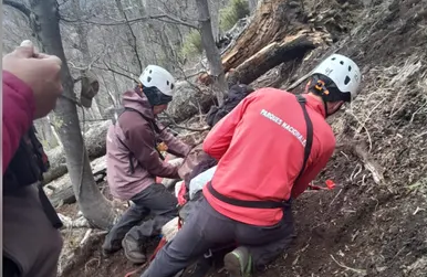 Un hombre de 87 años salió a cabalgar, se cayó y sufrió fracturas