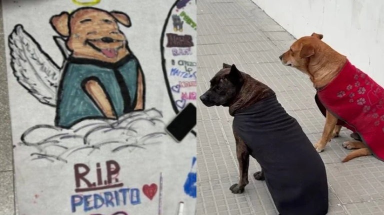 Alumnos de la Escuela N° 760 despidieron a Pedrito: “Buen viaje y hasta siempre”