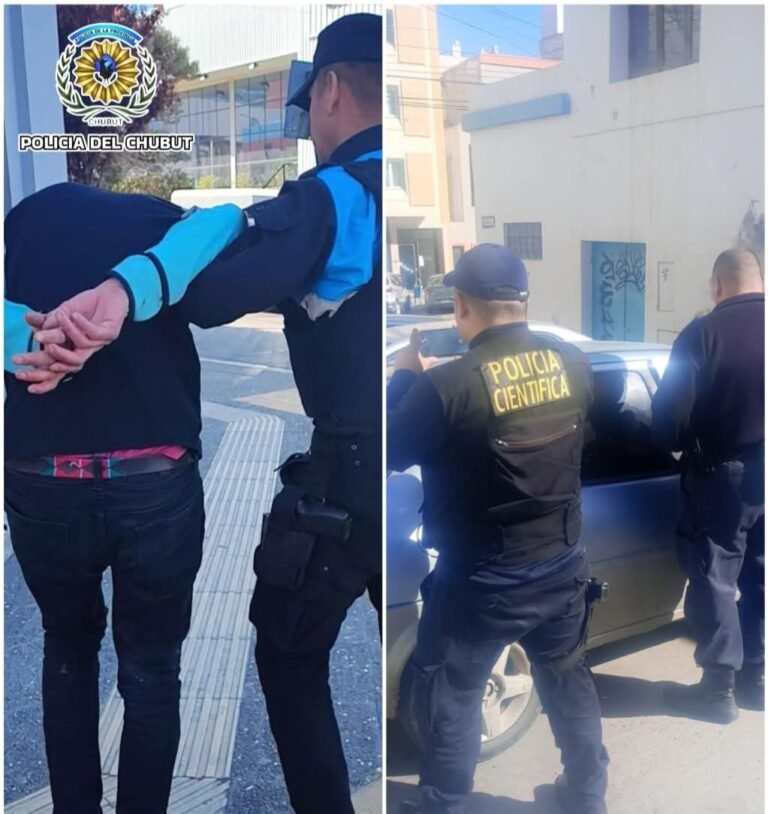 Dañó la puerta de un automóvil y sustrajo una billetera
