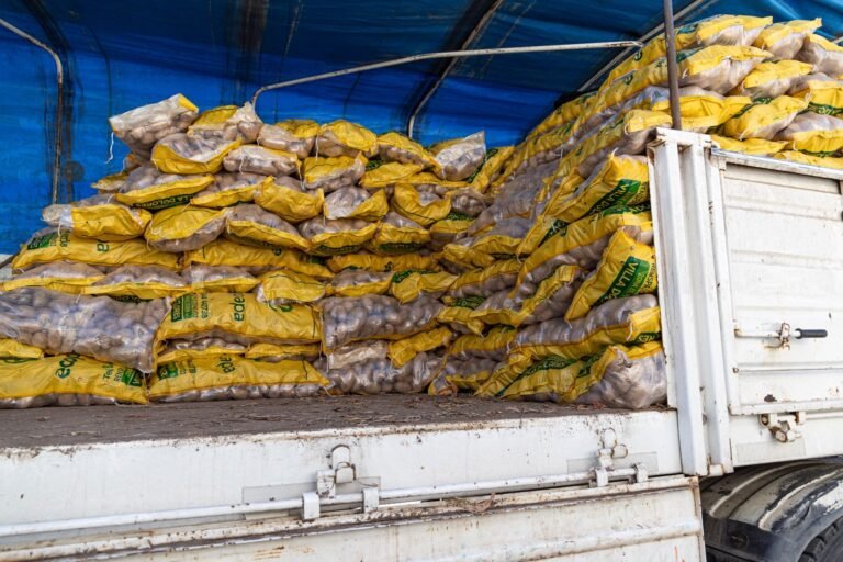 Controles: Descargaban mercadería no declarada y tenían la habilitación vencida