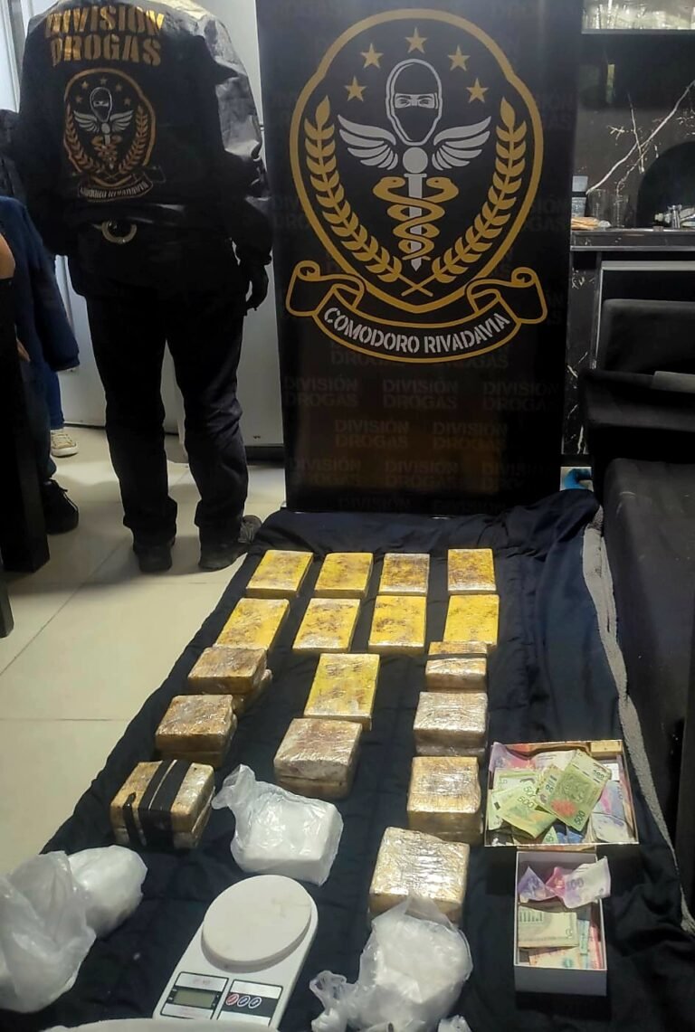 “Viento blanco”: secuestran 20 kg. de cocaína con el sello del delfín valuada en 600 millones de pesos