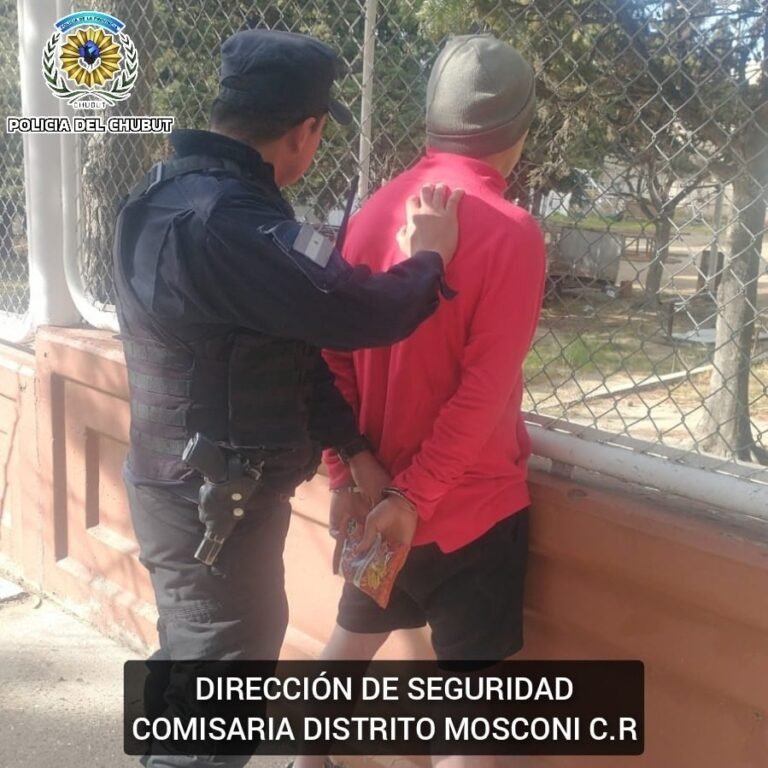 Las cámaras lo delataron: robó un regulador de gas y fue detenido