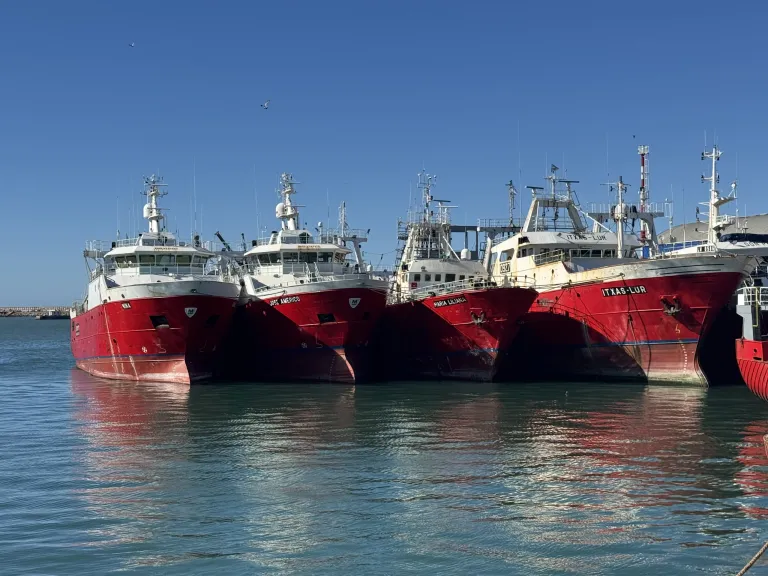 Cámaras pesqueras apoyan el desembarco del grupo español Profand en Alpesca