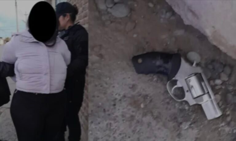 Siete mujeres a las trompadas: armada con un revolver, una intentó huir con un bebé en brazos
