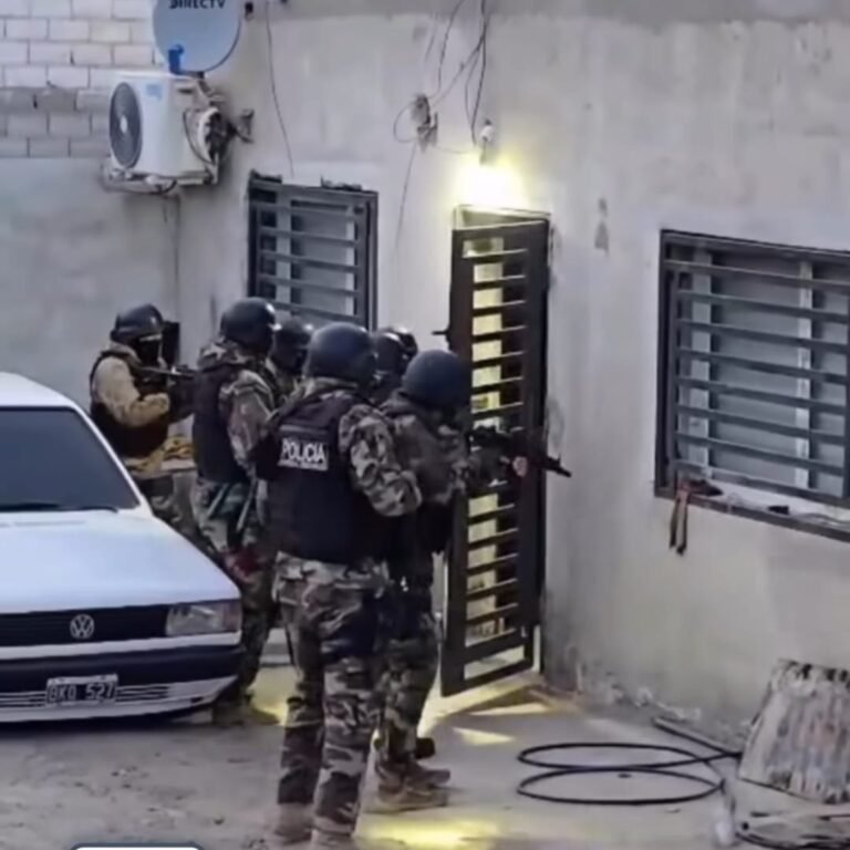 Golpe al narcotráfico: secuestraron drogas, armas y millones de pesos