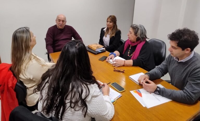 Buscan garantizar la accesibilidad electoral en los próximos comicios