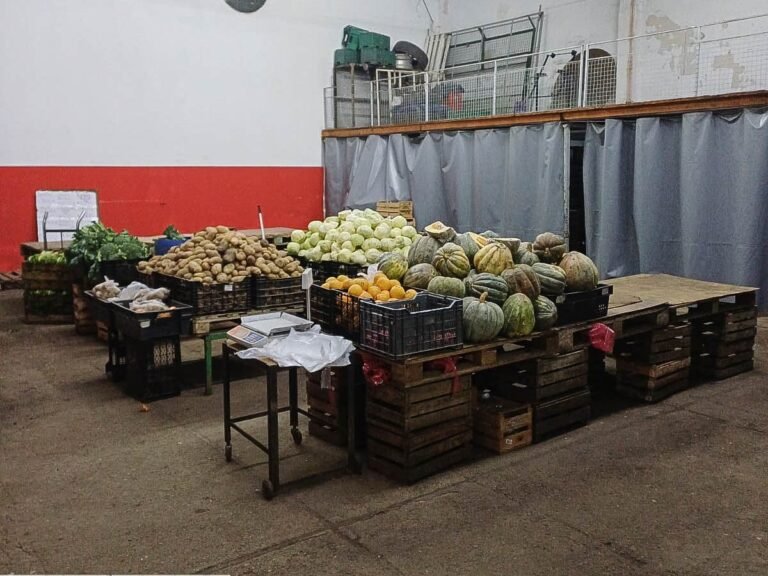 Detectan 40 bultos de frutas y verduras no declarados en un operativo