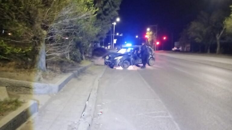 Manejaba alcoholizada y terminó chocando contra un árbol