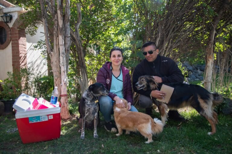 Este jueves habrá una jornada de vacunación antirrábica gratuita a domicilio