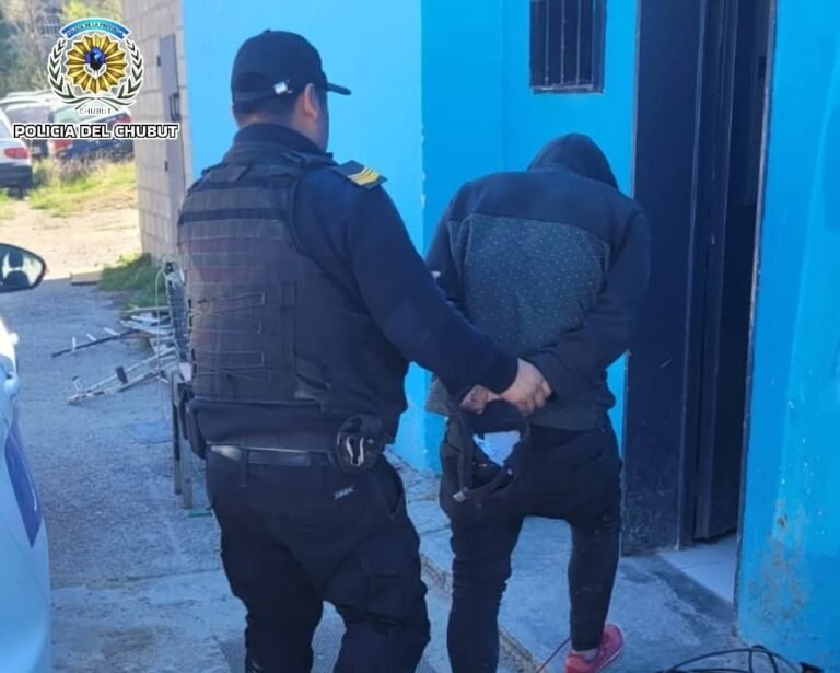 Huía con un televisor y un bajo eléctrico, pero la policía lo atrapó a pocos metros