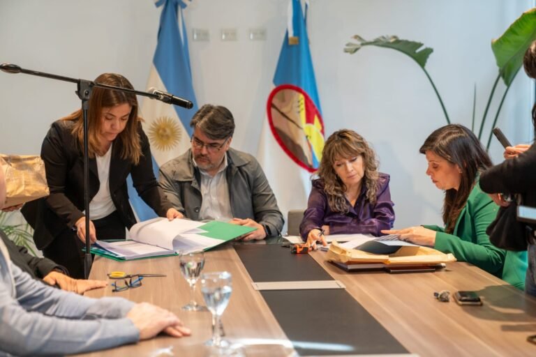 Transporte público: las propuestas licitatorias quedaron para el análisis de la Comisión de Pre Adjudicación