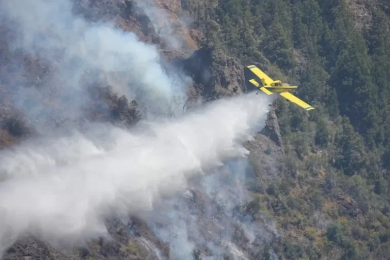 Chubut, Río Negro y Neuquén licitarán aviones para reforzar el combate de incendios