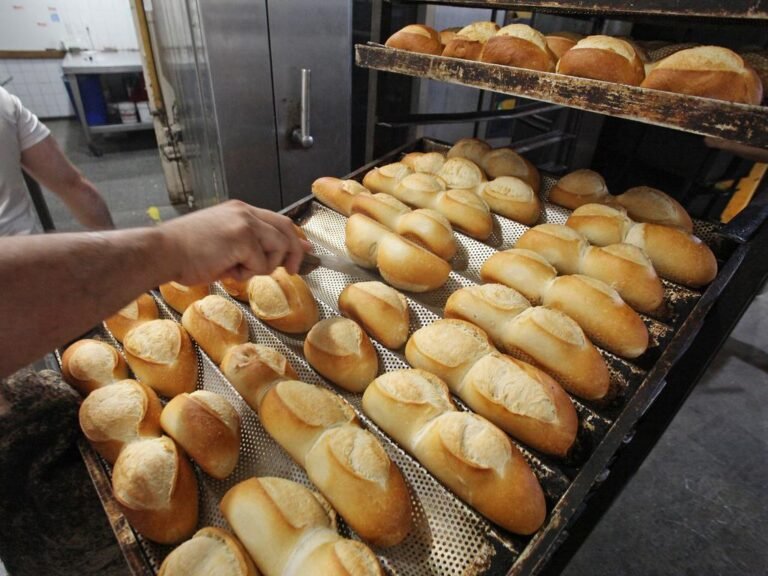 Por la suba de la materia prima, anticipan un aumento del 8% en el precio del pan