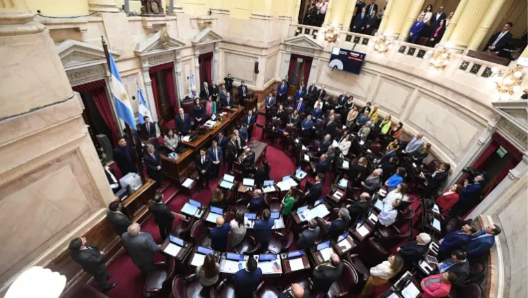 En el Senado, la oposición busca rechazar el veto de Emergencia en Discapacidad