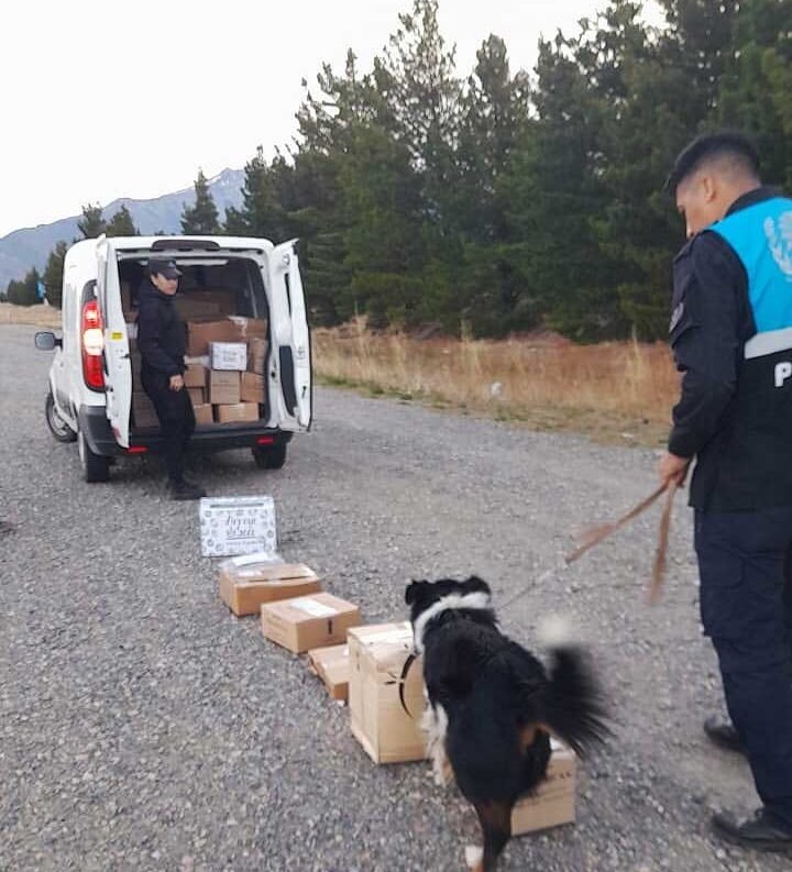 Un perro policía sorprendió a dos personas intentando trasladar marihuana
