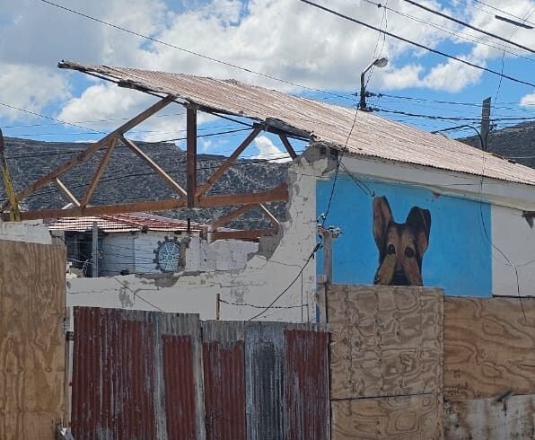 Piden un monumento a Barby, la perra asesinada cruelmente, ante la inminente demolición de su mural