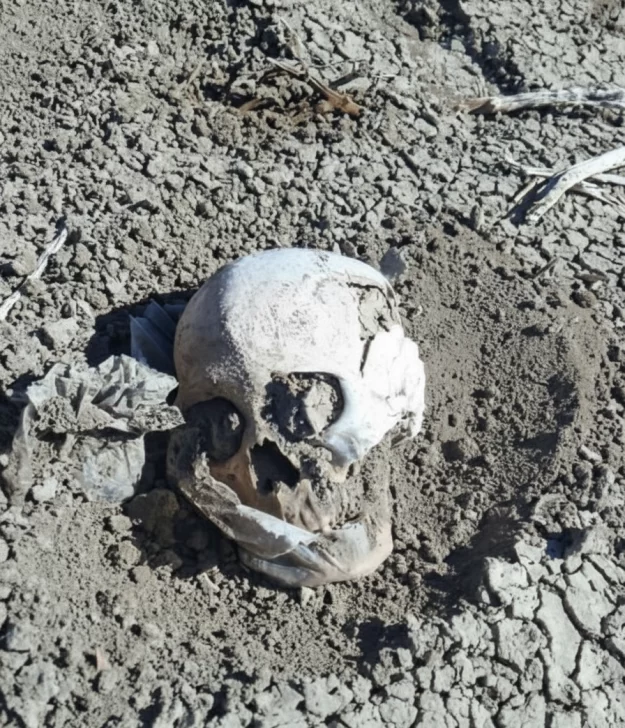 Macabro hallazgo: encontraron un cráneo humano en una zona rural