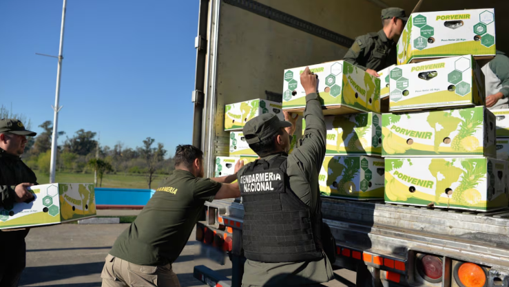 Golpe al narcotráfico: incautaron más de 444 kilos de cocaína escondidos entre bananas