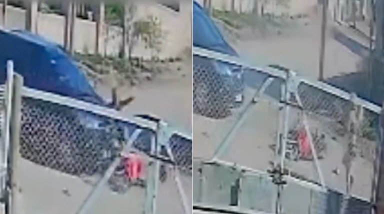 La chocó un auto, voló varios metros y se levantó sin heridas