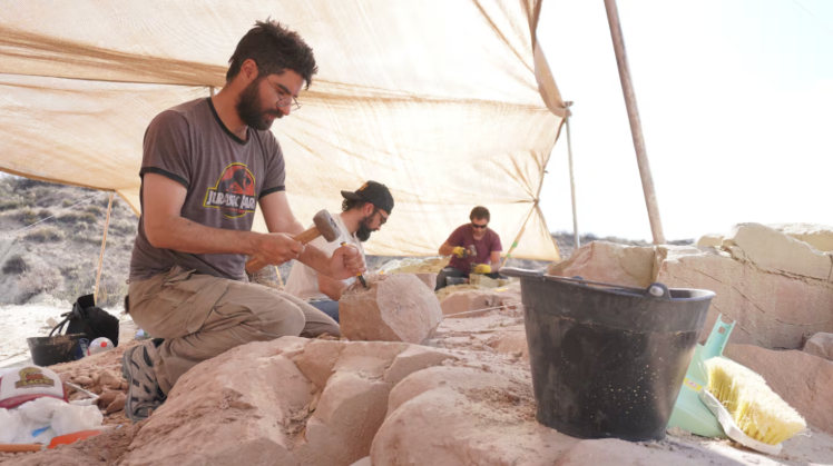 Paleontólogos del Conicet transmitirán en vivo la búsqueda de fósiles de dinosaurios