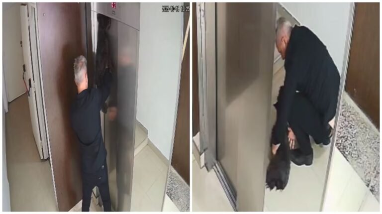 Dramático: un perro quedó atrapado en un ascensor y un vecino lo reanimó con RCP