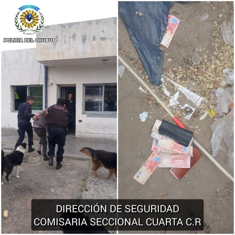 Tras una persecución, detuvieron a un joven que robó dos billeteras de un taxi