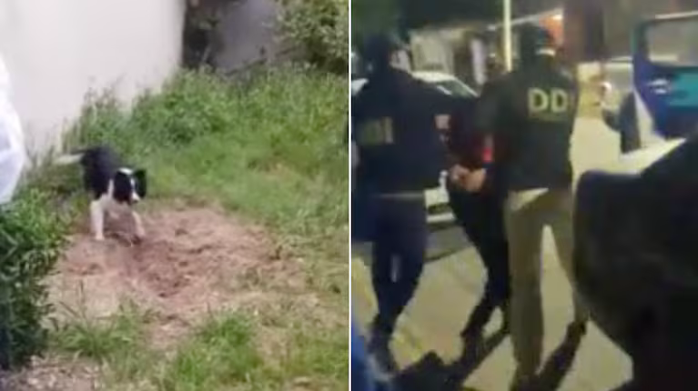 Un hombre mató a su jefe, le usurpó la casa y lo enterró en el patio