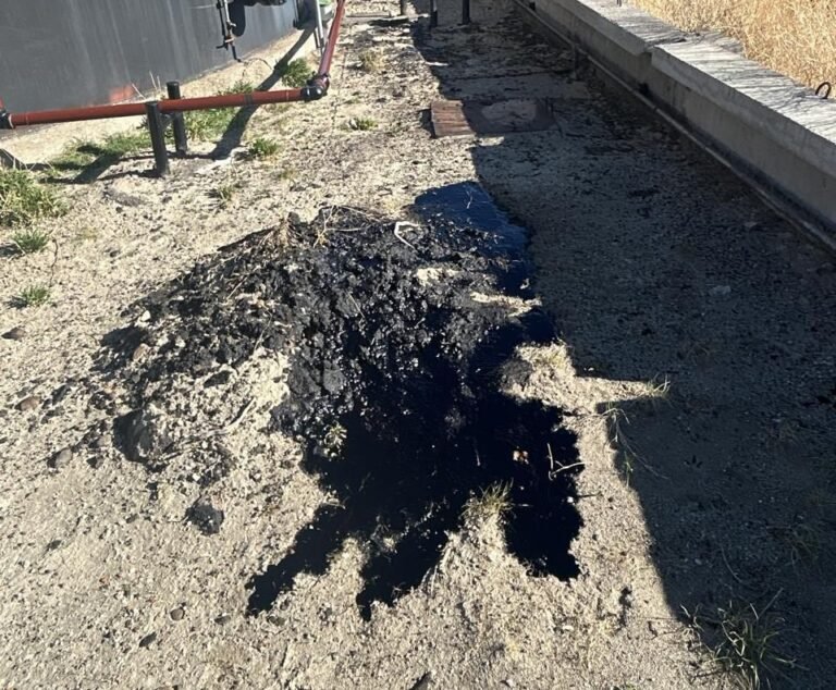 Controles ambientales: inspeccionaron yacimientos de Diadema y Bella Vista Oeste