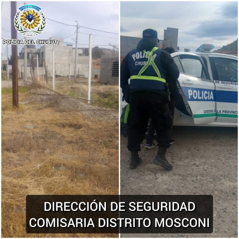 Intentaba robar mallas metálicas, pero el dueño lo sorprendió y terminó detenido