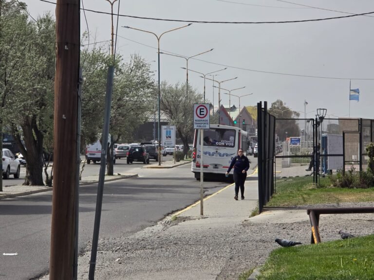 El viento provocó destrozos y suspendieron los colectivos