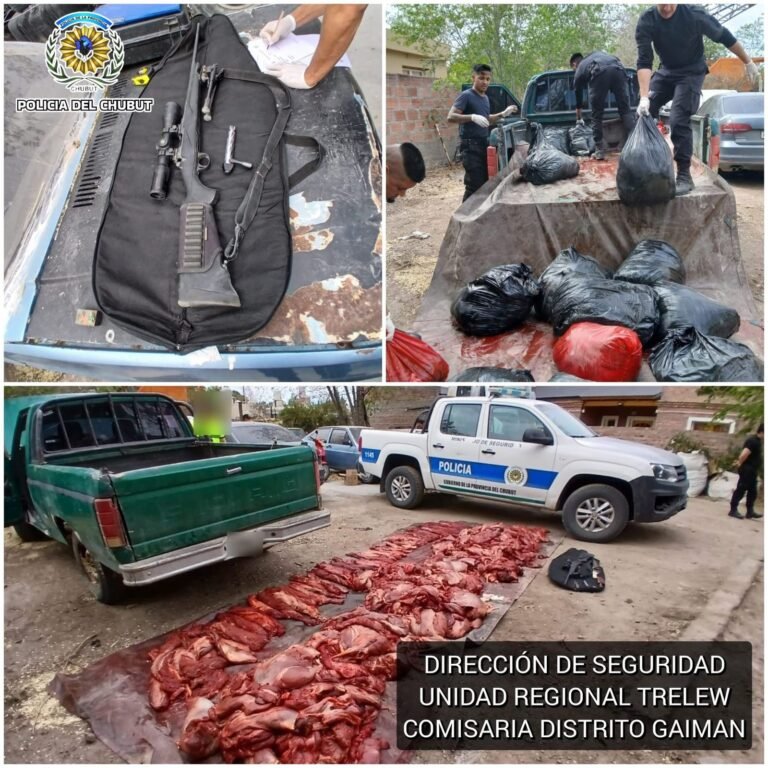 Secuestraron más de 700 kilos de carne de guanaco durante un control en la Ruta 25