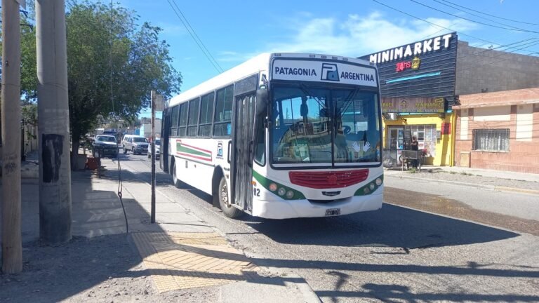 Una joven se cayó dentro de un colectivo y sufrió una dislocación en las rodillas
