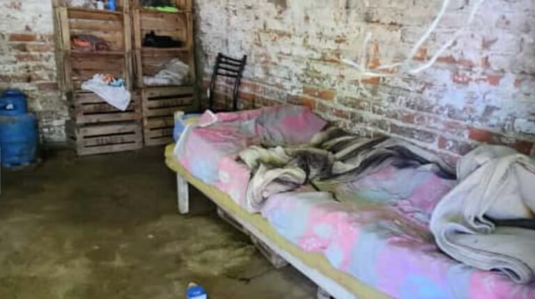 Rescataron a 42 trabajadores explotados en un campo de frutillas: dos de ellos eran menores