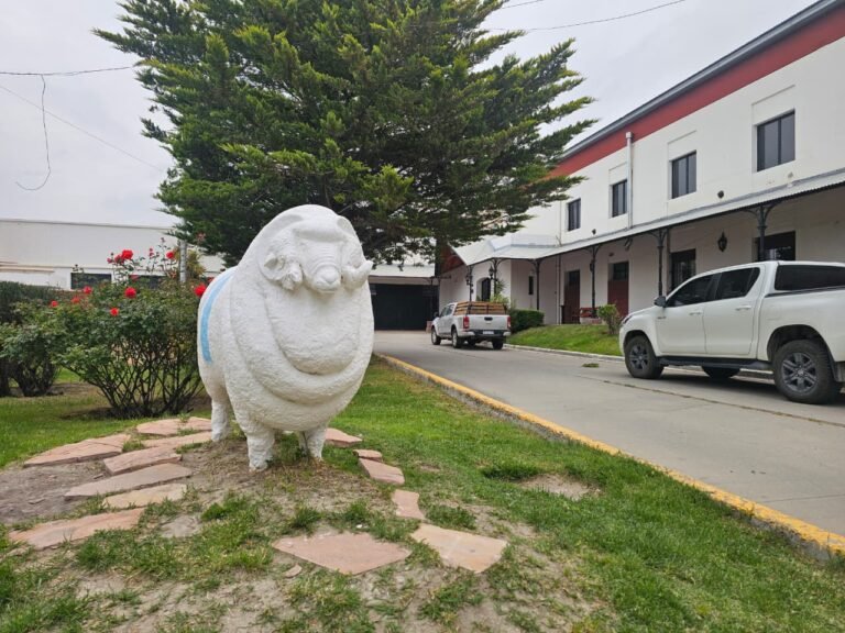 Encuentro nacional de la Sociedad Rural: más de 25 directores se reunirán en Comodoro