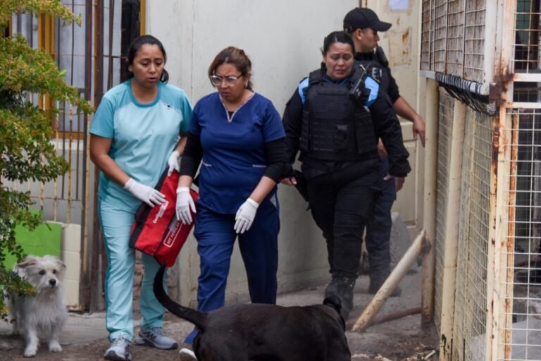 Intentó prenderse fuego tras una discusión y terminó provocando un incendio en el edificio