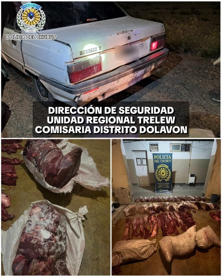 Incautaron más de 300 kilos de carne de guanaco en un control sobre la Ruta 25