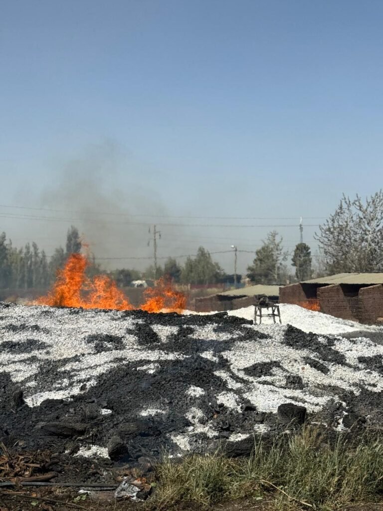 El fuego devastó un galpón, mató animales, pero encendió la solidaridad de la comunidad