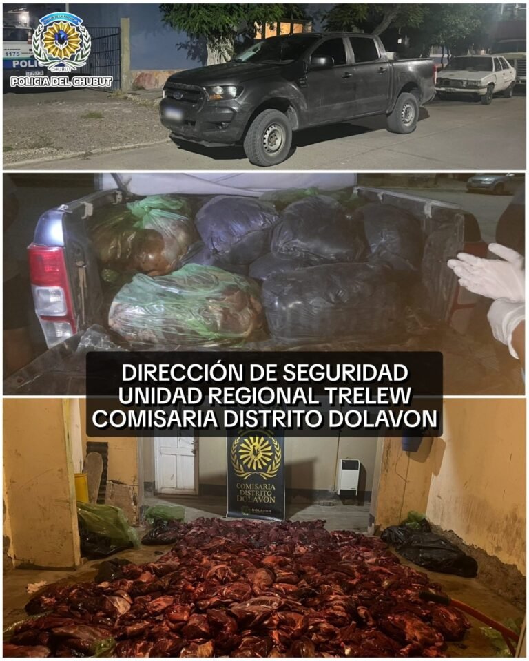 Sorprenden a tres hombres con 800 kilos de carne de guanaco en la Ruta 25