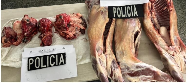 Un peón de campo les debía una deuda y se la cobraron con chivitos robados