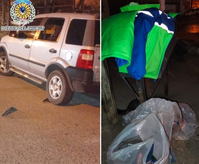 Sufrió convulsiones tras dañar y sustraer elementos de un vehículo