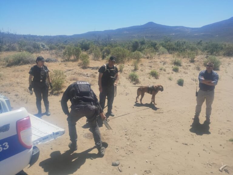 Hallaron al joven desaparecido, estaba deshidratado y quedó internado en observación