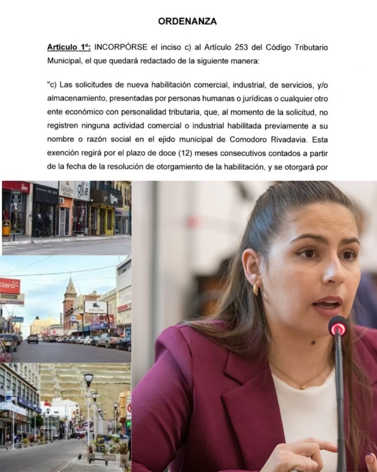 La concejal Ximena González presenta un proyecto para impulsar la apertura de nuevos comercios
