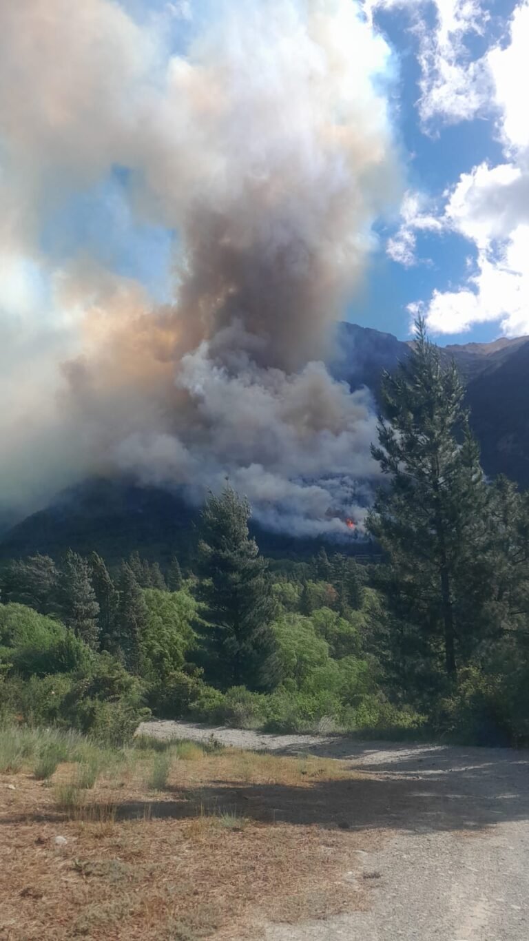 Bomberos y brigadistas combaten los focos ígneos detectados en Epuyén y Dique Florentino Ameghino