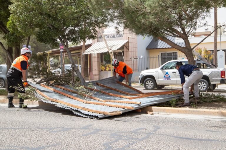 Intervenciones ante voladura de techos, caída de postes y árboles