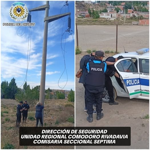 Detuvieron a un hombre cuando intentaba robar cables de alta tensión