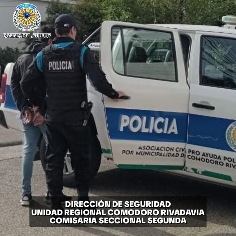 Rompió la ventana de una vivienda para robar un televisor y lo atraparon dentro del patio