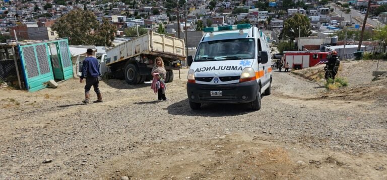 Un camión atropelló a un hombre e impactó contra un nicho de gas