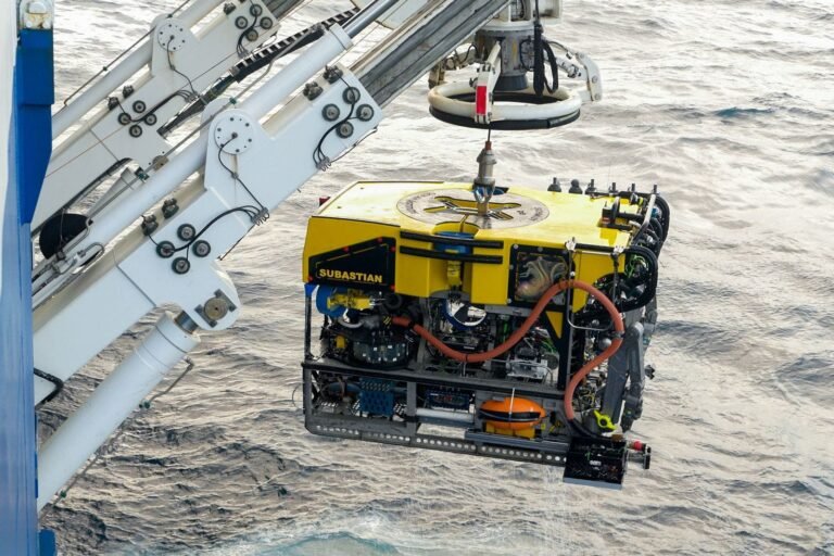Chubut organiza un encuentro para conocer la ciencia del mar profundo